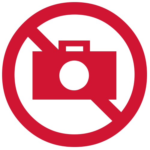 http://rfacdn.nz/artgallery/assets/media/no-photography-icon.png