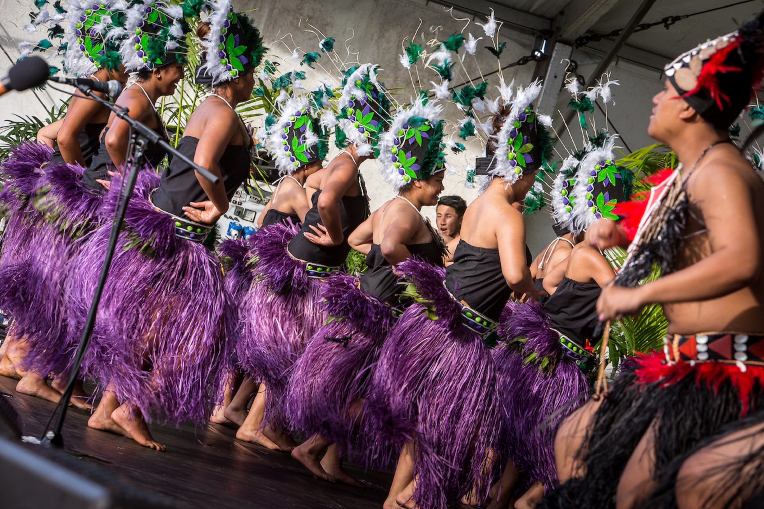 Auckland Pasifika Festival postponed to 1011 April