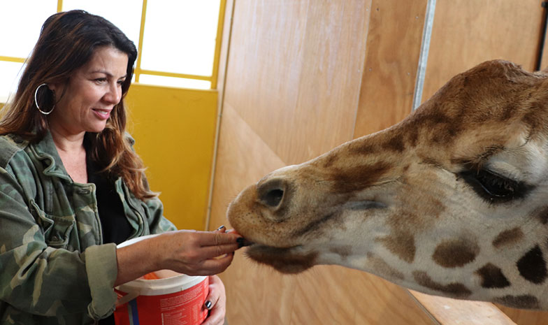 Happy World Giraffe Day Auckland Zoo News